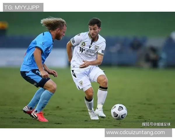 中央海岸水手迎战布里狮班狮吼期待精彩对决与激烈竞争 中央海岸水手迎战布里狮班狮吼期待精彩对决与激烈竞争