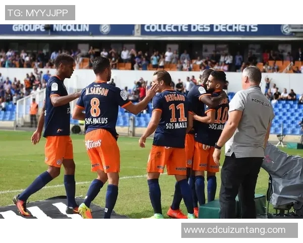 西部联对阵西悉尼流浪者比赛分析与推荐策略分享