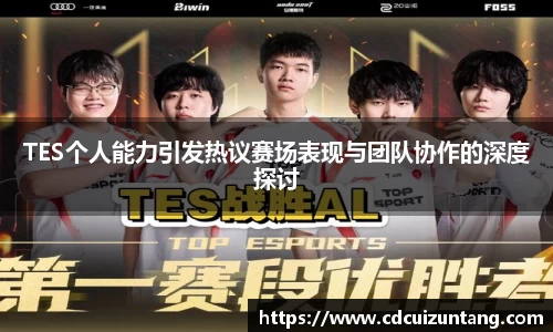 TES个人能力引发热议赛场表现与团队协作的深度探讨