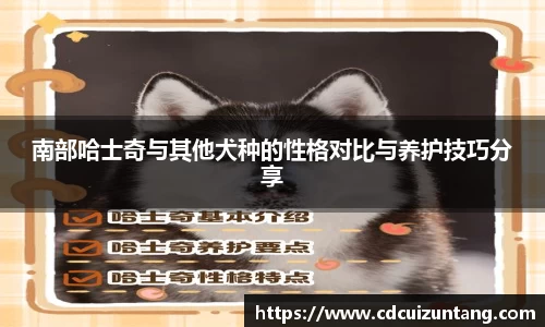 NG体育南宫APP